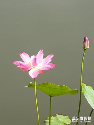 熱，熱，熱。。。?。?！