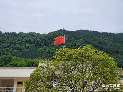 【你好，六一】+逗逗貓