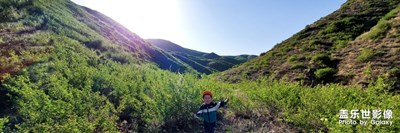 【你好，六一】+童心童舉