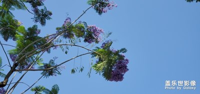 【你好，六一】+給小朋友過(guò)節(jié)