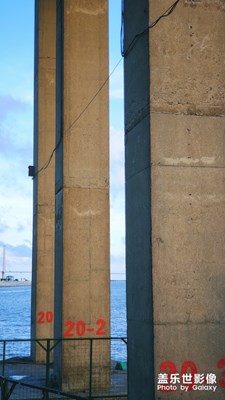 ～桃花依舊笑春風(fēng)