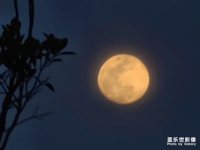 月圓之夜