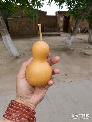 誤入小院，尋得異形葫蘆一枚！為愛(ài)的人祈福！