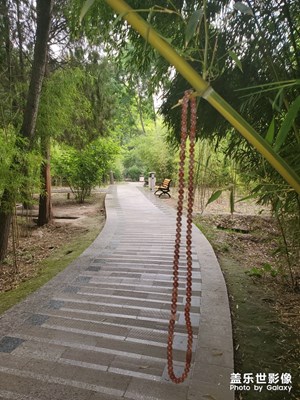 重游植物園！為愛祈福！