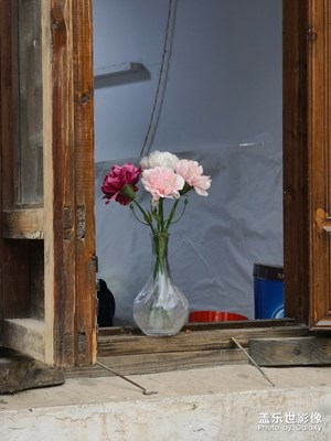 古鎮(zhèn)小姐姐窗口的花