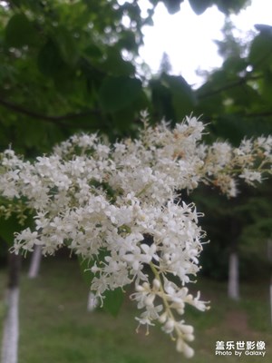 月牙島隨手拍