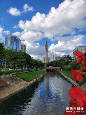 深圳天氣好到爆炸