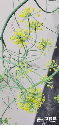 【光影生活】+挺好看的