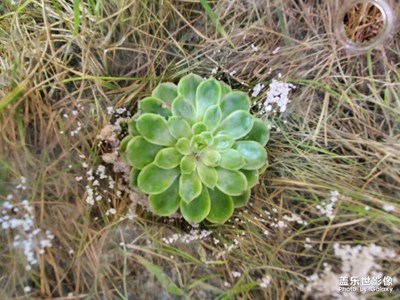 【光影生活】＋室內(nèi)的芬芳