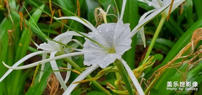風(fēng)雨無(wú)阻，健走依舊
