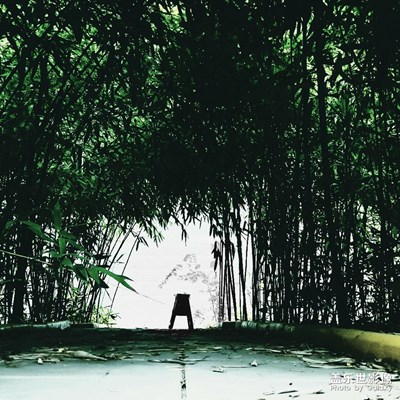 【光影生活】＋出差難