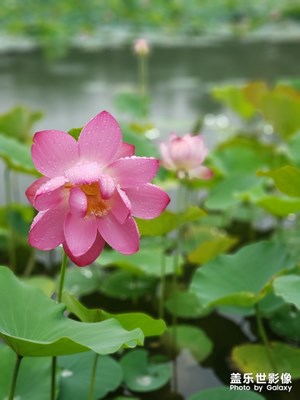 下雨天的散步（1）