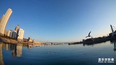 舍不得換掉的小8