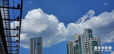 【夏日色彩】+藍天碧荷