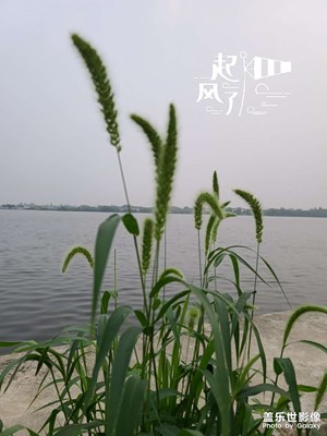 家門口的風(fēng)景