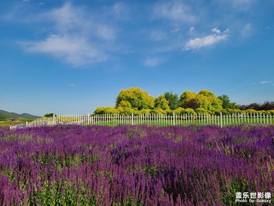 堅(jiān)強(qiáng)的北京