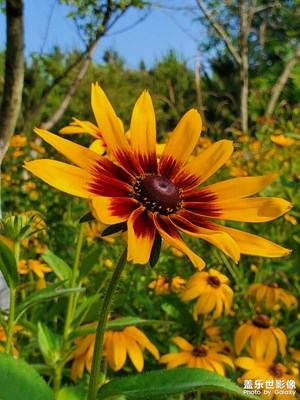 【盛夏時光】+日照海濱采景