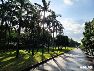 安靜的端午節(jié)