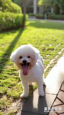 生活的記錄，note9的陪伴。