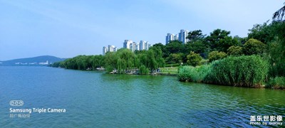 端午節(jié)自拍