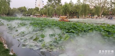 映日荷花別樣紅