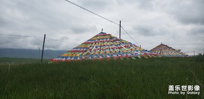 歡迎來美麗地金銀灘大草原