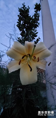 【與世界相遇】+美好生活