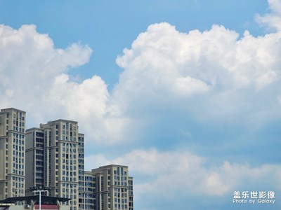 與世界相遇＋新海誠的顏色