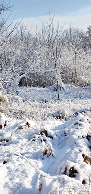 【與世界相遇】+我的生活我的城