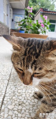 【角度與視覺】農(nóng)家小院