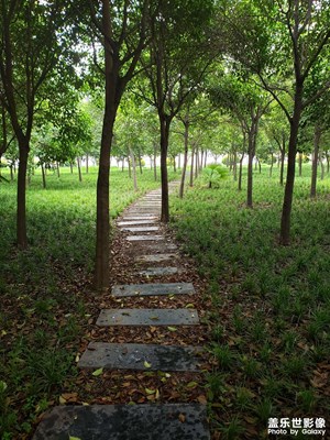 轉(zhuǎn)轉(zhuǎn)