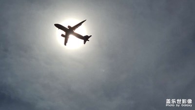 拍飛機(205006029)