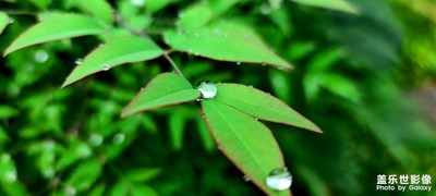 雨什么時候下呀，想為你撐傘呢