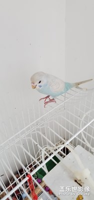 【生活志】+邊走邊拍