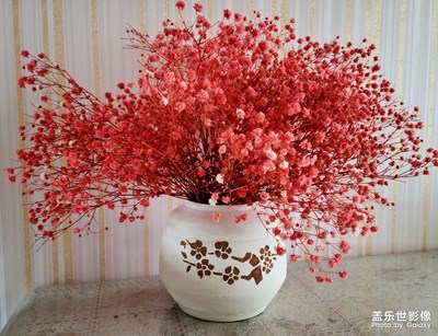 【生活志】+居家生活