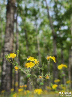 【生活志】一些隨拍