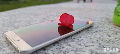 試拍靜物！