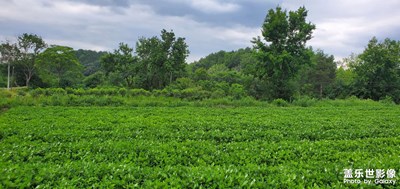 【生活志】+邊走邊拍