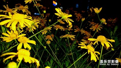 這個(gè)相機(jī)專業(yè)模式玩不動(dòng)呀