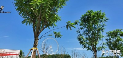 【城市相冊(cè)】+美麗山城