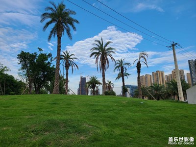 【城市相冊(cè)】+漫城漫都