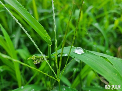 【記錄此刻】+撫綠