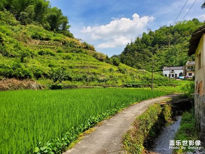 美麗鄉(xiāng)村