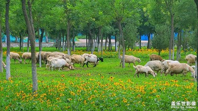 【記錄此刻】周末小歇