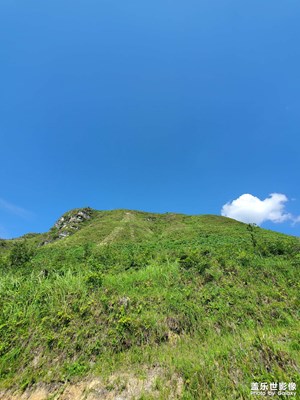 這是我的日常隨手一拍
