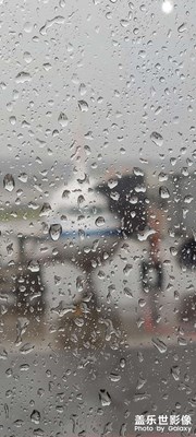 風雨中風砥礪前行