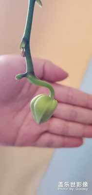 【生活隨手拍】+美麗時(shí)光