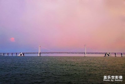 大連的星海你愛(ài)了么