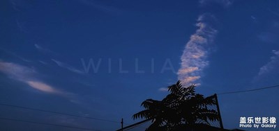 早起的鳥(niǎo)兒…………有景瞧????