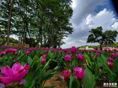 東莞-松山湖夢幻百花洲